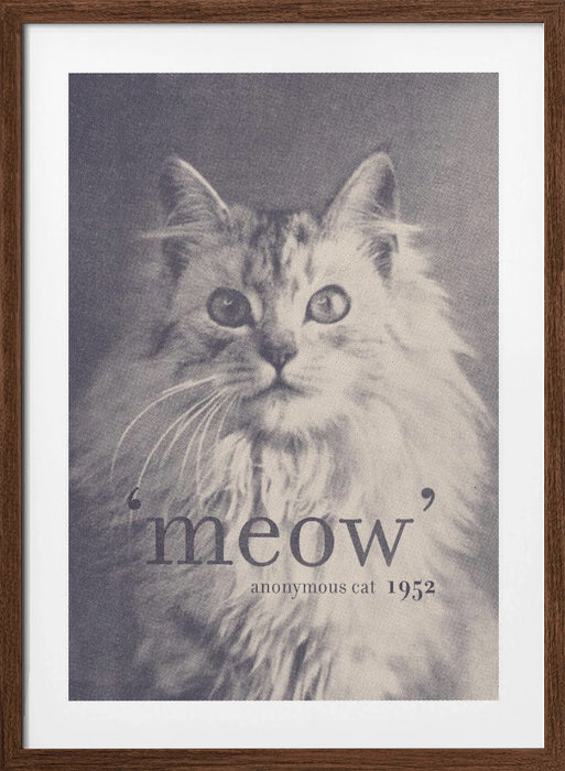 Famous Quote Cat Framed Art Modern Wall Decor