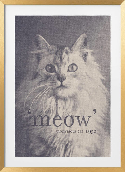 Famous Quote Cat Framed Art Modern Wall Decor