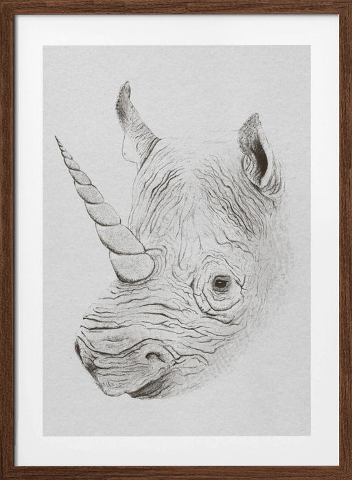 Rhinoplasty Framed Art Wall Decor