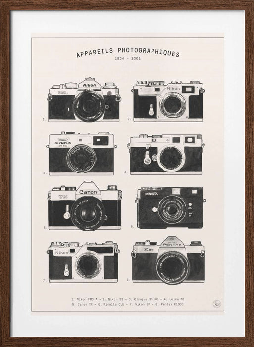 Appareils Photographiques Framed Art Modern Wall Decor