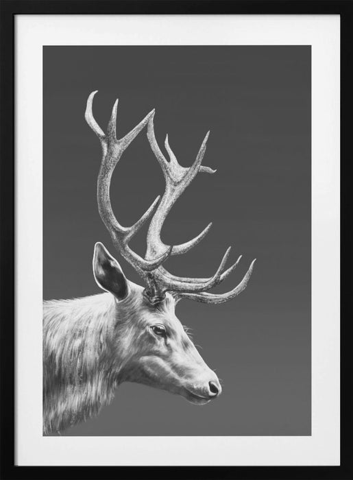 Reindeer Framed Art Wall Decor