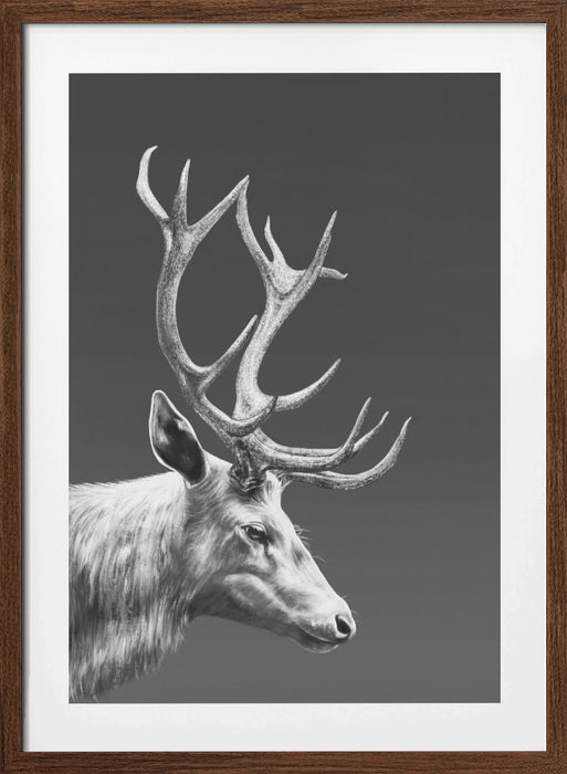 Reindeer Framed Art Wall Decor