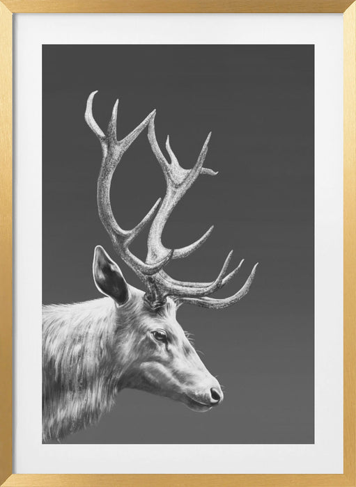 Reindeer Framed Art Wall Decor