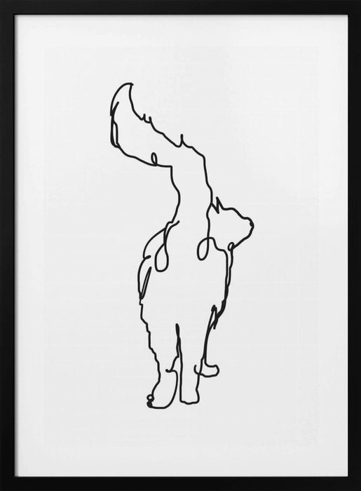 The Cats Tail Framed Art Wall Decor