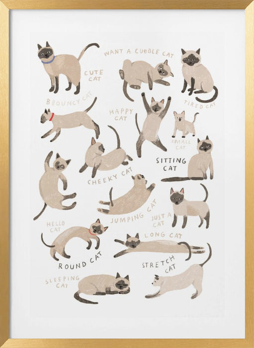 Siamese Cat Print Framed Art Modern Wall Decor