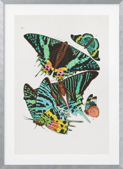 Butterflies 3 Framed Art Wall Decor