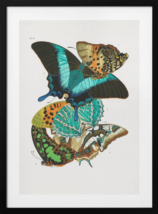 Butterflies 5 Framed Art Modern Wall Decor