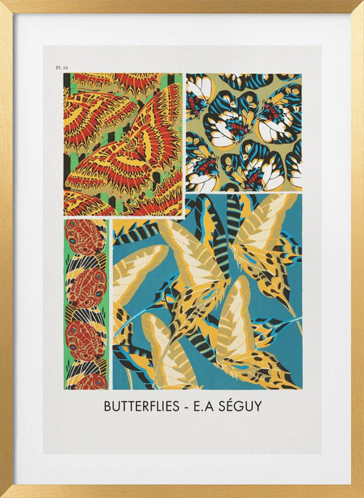 Butterflies 19 Framed Art Wall Decor