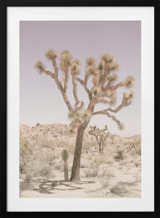 Joshua Tree Framed Art Modern Wall Decor