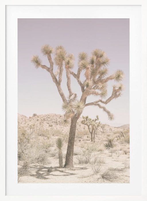 Joshua Tree Framed Art Modern Wall Decor