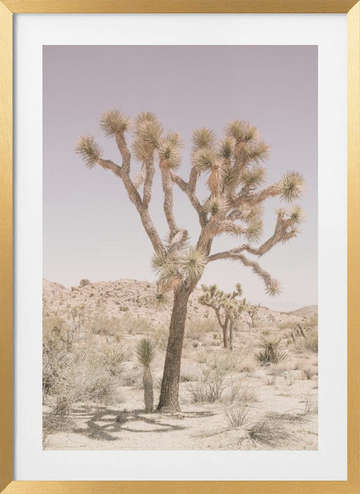 Joshua Tree Framed Art Modern Wall Decor