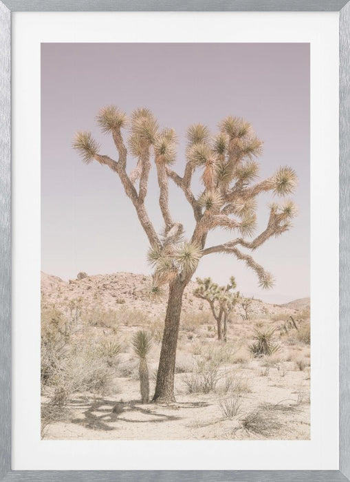 Joshua Tree Framed Art Modern Wall Decor