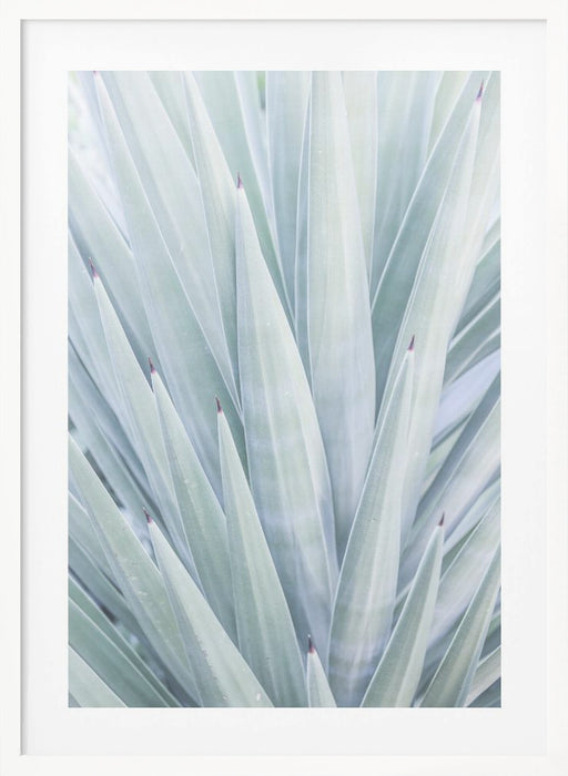 Tequilana Framed Art Wall Decor