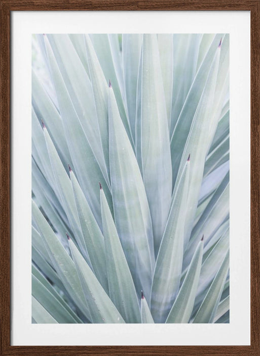 Tequilana Framed Art Wall Decor