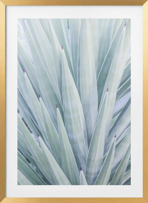 Tequilana Framed Art Wall Decor