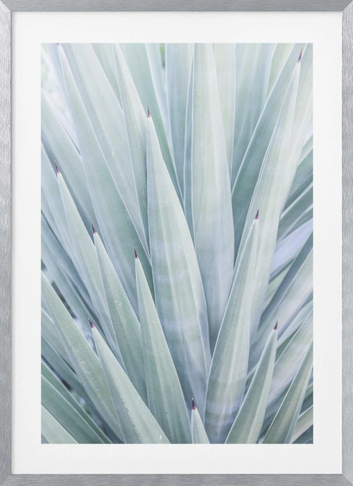 Tequilana Framed Art Wall Decor