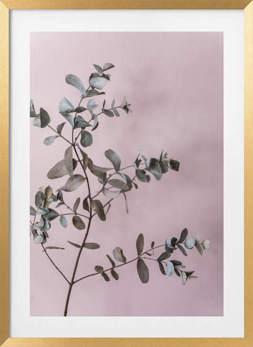 Eucalyptus 12 Framed Art Modern Wall Decor