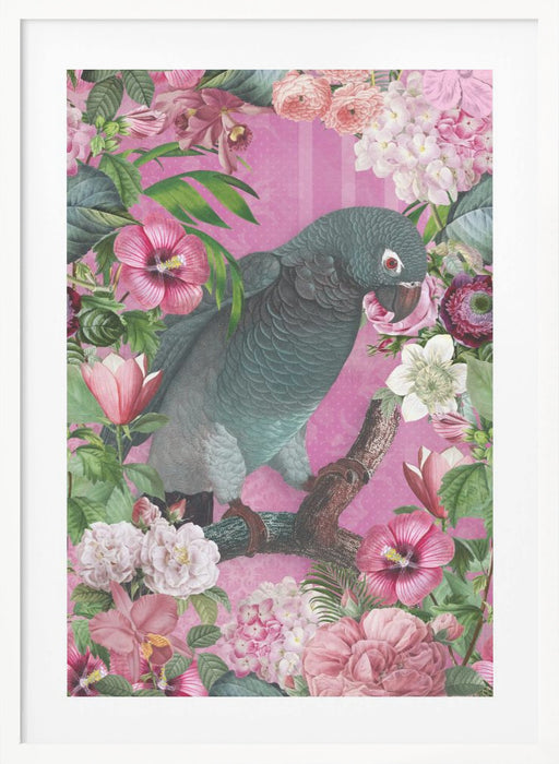 The Parrots Paradise Garden 3 Framed Art Modern Wall Decor