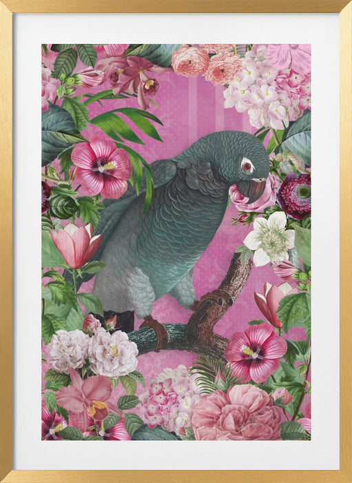 The Parrots Paradise Garden 3 Framed Art Modern Wall Decor