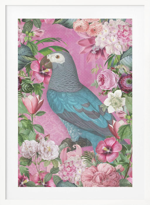 The Parrots Paradise Garden Framed Art Modern Wall Decor