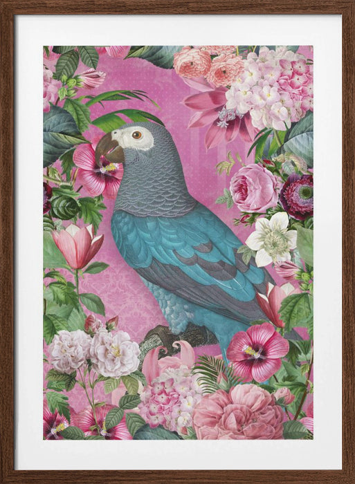 The Parrots Paradise Garden Framed Art Modern Wall Decor