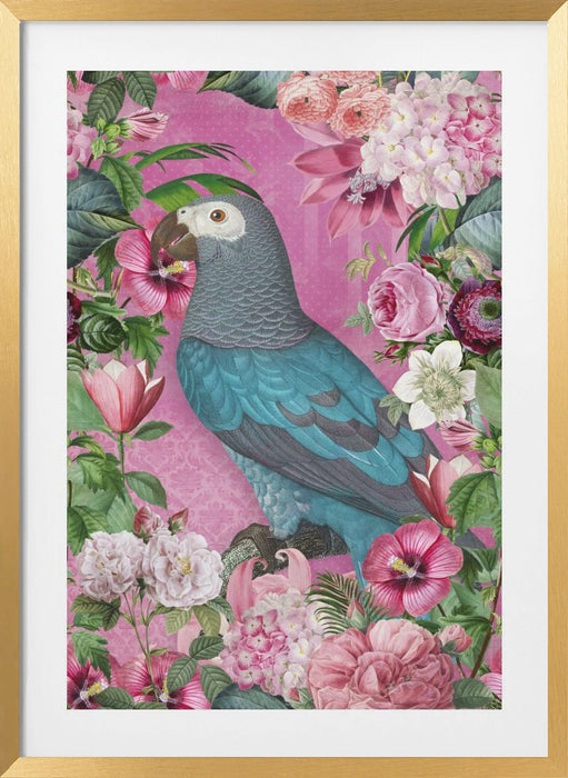 The Parrots Paradise Garden Framed Art Modern Wall Decor