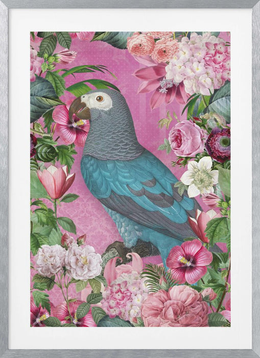 The Parrots Paradise Garden Framed Art Modern Wall Decor