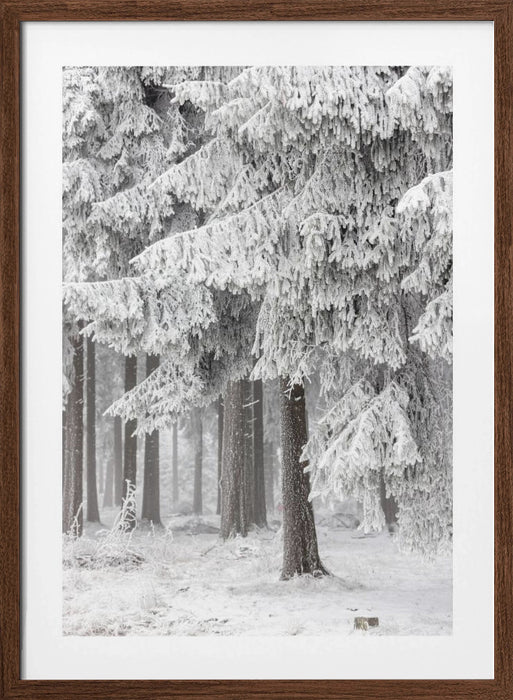 Winter Forest 2 Framed Art Modern Wall Decor