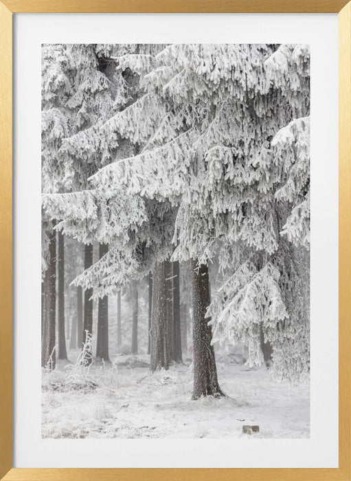 Winter Forest 2 Framed Art Modern Wall Decor