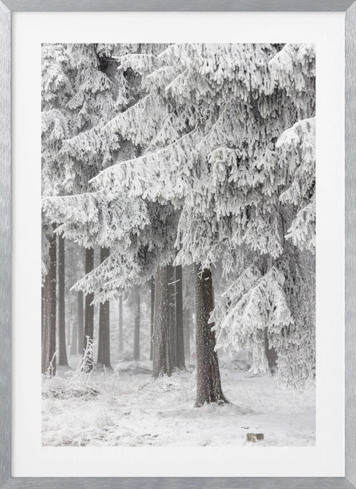 Winter Forest 2 Framed Art Modern Wall Decor