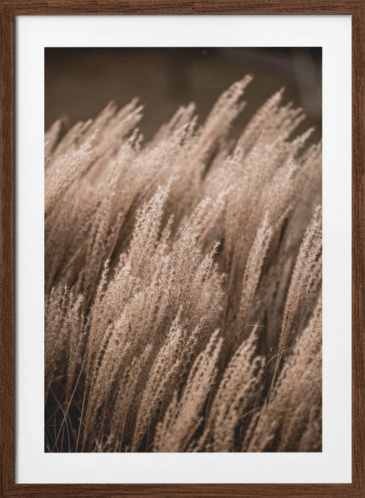 Grass 16 Framed Art Modern Wall Decor