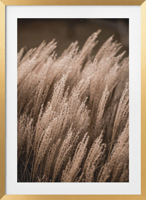 Grass 16 Framed Art Modern Wall Decor