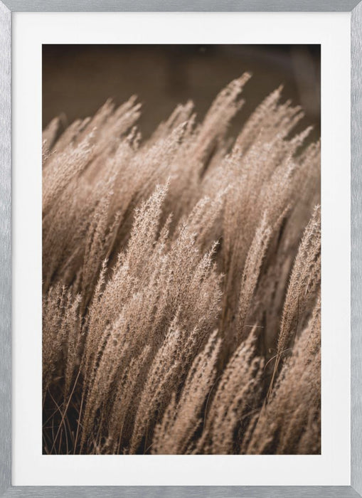 Grass 16 Framed Art Modern Wall Decor