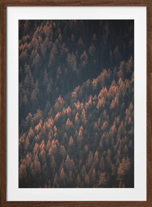 Autumn Woods 2 Framed Art Modern Wall Decor