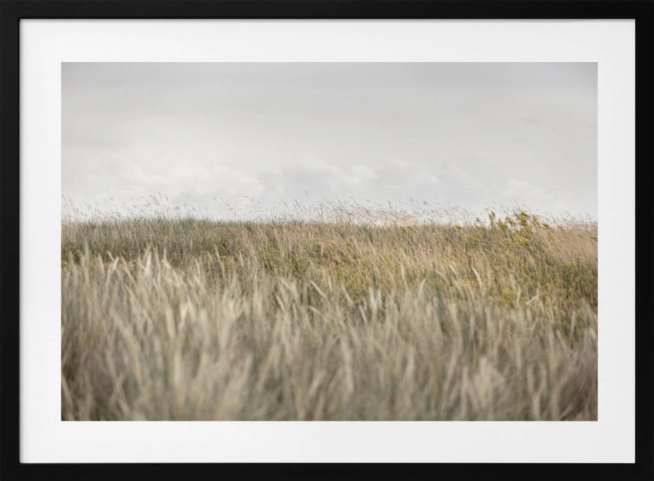 Dunes  Clouds 2 Landscape Framed Art Scenic Desert  Sky Wall Decor