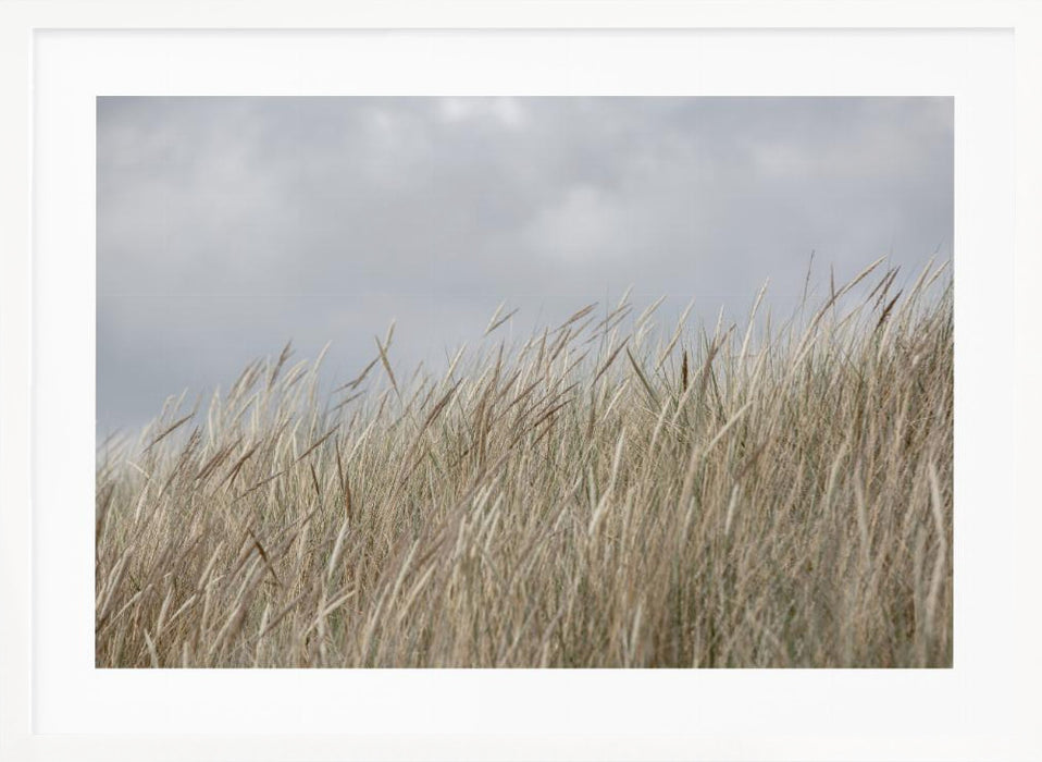 Dunes and Clouds Landscape Framed Art Scenic Wall Dcor