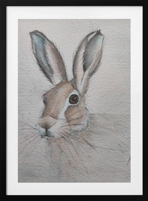 Hare Framed Art Wall Decor