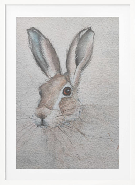 Hare Framed Art Wall Decor