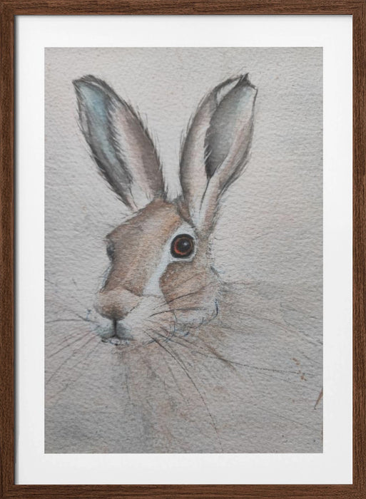 Hare Framed Art Wall Decor