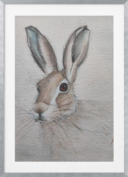 Hare Framed Art Wall Decor