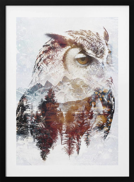 Owl Wild Animal Vintage Illustration Art 02 Framed Art Modern Wall Decor