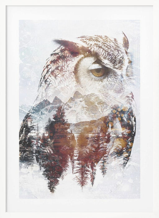 Owl Wild Animal Vintage Illustration Art 02 Framed Art Modern Wall Decor