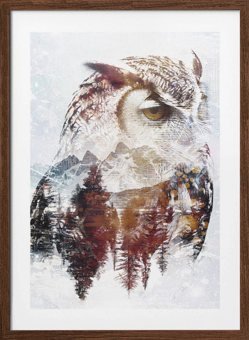 Owl Wild Animal Vintage Illustration Art 02 Framed Art Modern Wall Decor