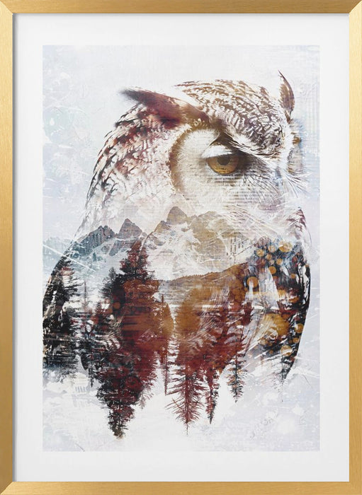 Owl Wild Animal Vintage Illustration Art 02 Framed Art Modern Wall Decor