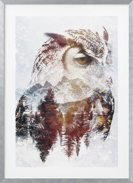 Owl Wild Animal Vintage Illustration Art 02 Framed Art Modern Wall Decor