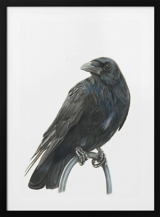 Nevermore Framed Art Modern Wall Decor