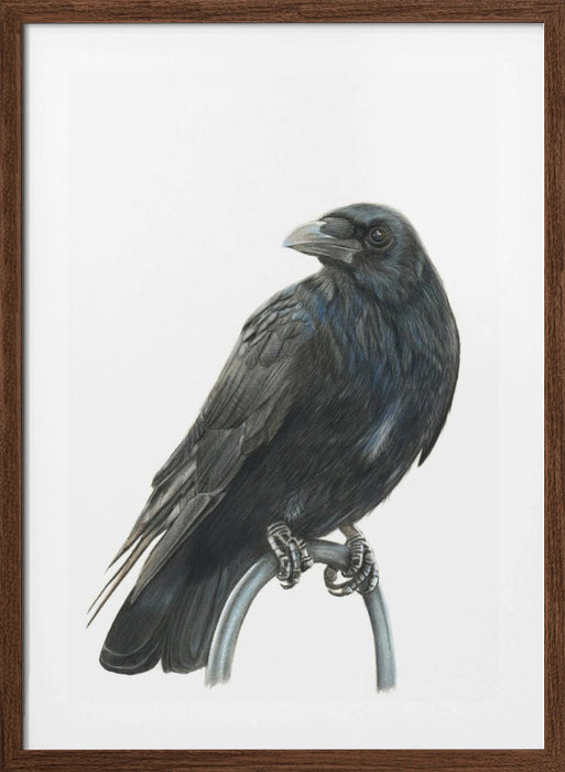 Nevermore Framed Art Modern Wall Decor