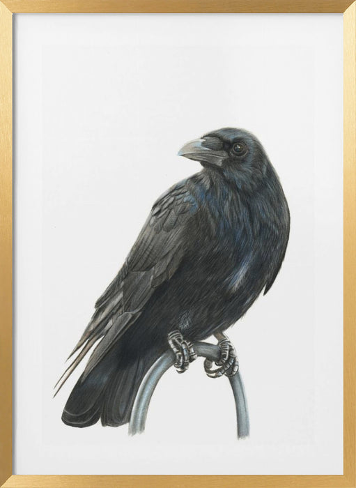 Nevermore Framed Art Modern Wall Decor