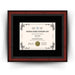 University of Iowa Diploma Frame 8.5x11 Certificate Black