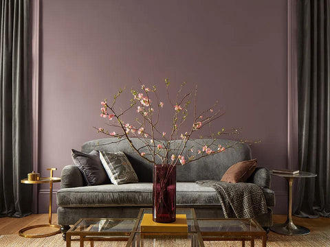 Benjamin Moore Color of the Year 2025: Cinnamon Slate 2113-40 – A Perfect Blend of Enduring Style and Modern Sensibility